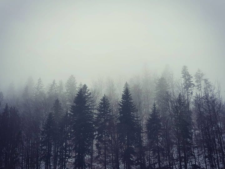 Las we mgle Wisła Beskidy góry