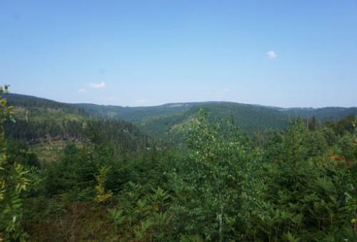 Trasa Dolina Czarnej Wisełki - Stecówka - Przełęcz Szarcula