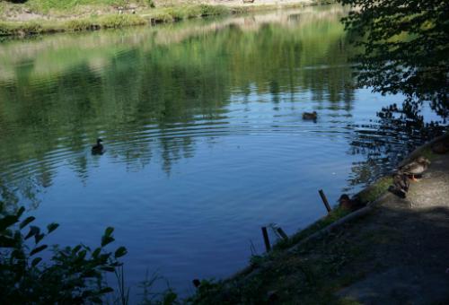 Szmaragdowe jezioro "Ton" - Goleszów