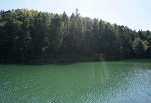 Szmaragdowe jezioro "Ton" - Goleszów
