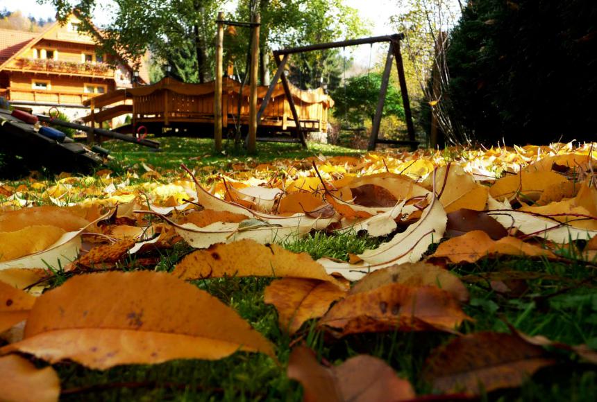 Jesienny ogród w Osadzie Kamratowo