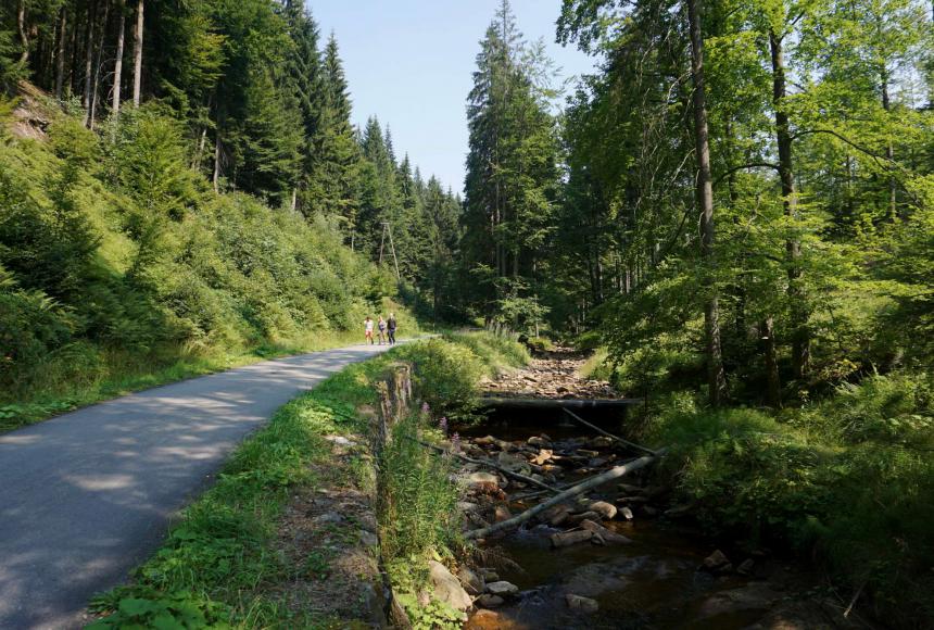 Trasa Dolina Czarnej Wisełki - Stecówka - Przełęcz Szarcula